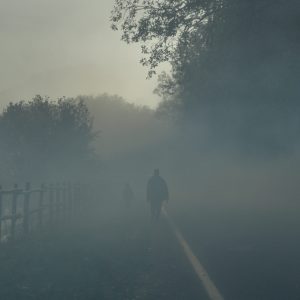 alternativa sfondo trama despite the fog